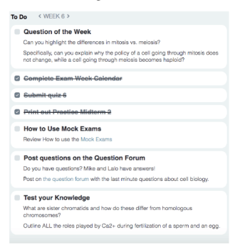 screenshot of a weekly to-do list
